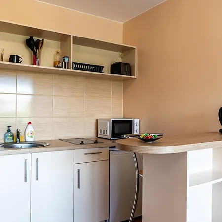 Studio Apartment Апартаменты