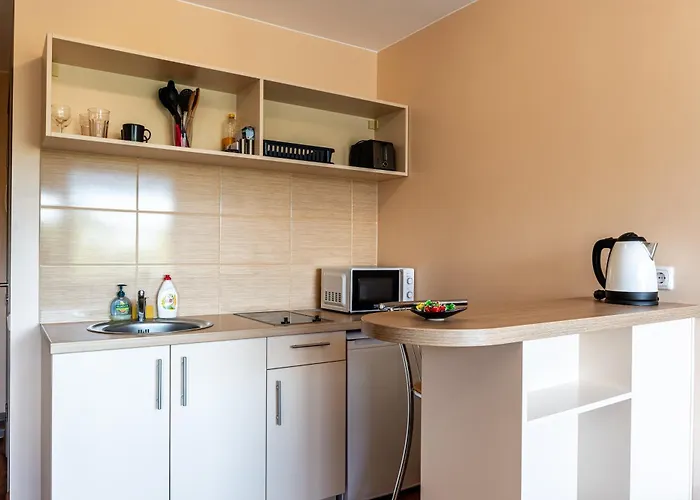 Studio Apartment Apartment