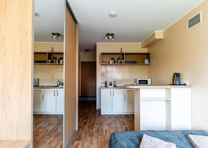Studio Apartment Apartment Kaunas